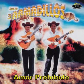 Download track Pa´ Que Dueto Los Armadillos