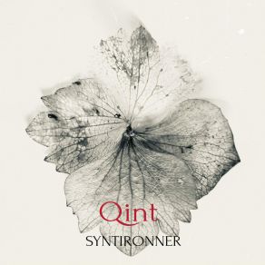 Download track Result Syntironner