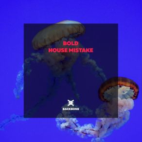 Download track House Mistake The Bold