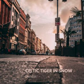 Download track Dublin (Extended Version) Celtic Tiger In Snow