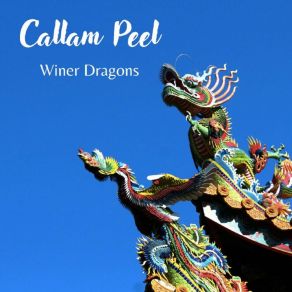 Download track Congratulation Daydream Callam Peel