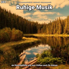 Download track Ruhige Musik Pt. 45 Entspannungsmusik