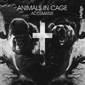 Download track Acclimatize (Digital Session & Vincent Hiest Remix) Animals In CageDigital Session, Vincent Hiest