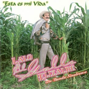 Download track Ingrata Mujer Lalo El Gallo Elizalde