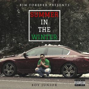 Download track Summer In The Winter Boy Junior