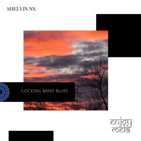 Download track Cocktail Band Blues (Original Mix) Shelvin NX