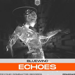 Download track Echoes (Extended Mix) Bluewind