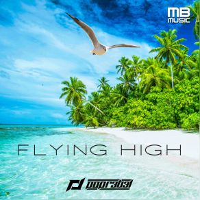 Download track Flying High (DJ Edit) Popr3b3l