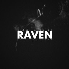 Download track Raven (Original Mix) Kaiza