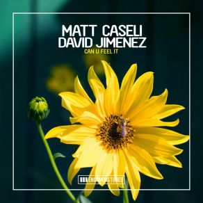 Download track Can U Feel It (Original Club Mix) Matt Caseli