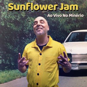 Download track Englishman In New York (Ao Vivo) Sunflower JamFred Ramos