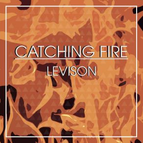 Download track Catch Fire Levison