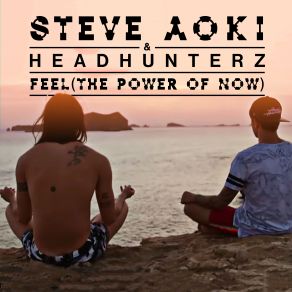 Download track Feel (The Power Of Now) Steve Aoki, Headhunterz