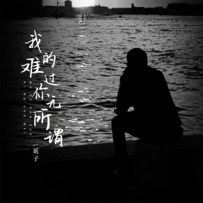 Download track 我的难过你无所谓 (DJBanan版) 延子Banan