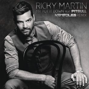 Download track Mr. Put It Down (Noodles Remix) Ricky Martin, Pitbull