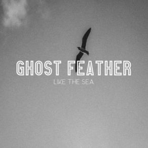 Download track Pitfalls Ghost Feather