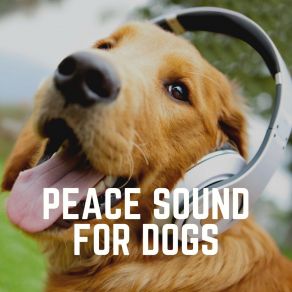 Download track Absorb Organisms Calming For Dogs