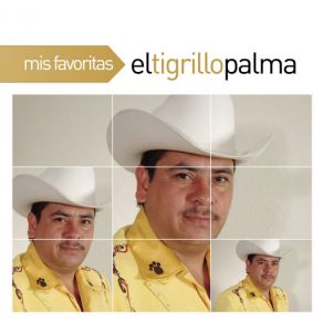 Download track El Amor De Un Pobre El Tigrillo Palma