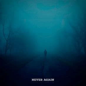 Download track Never Again Eternal Vibes