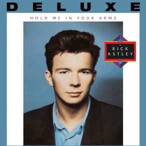 Download track Take Me To Your Heart (The Dick Dastardly Mix) Rick Astley