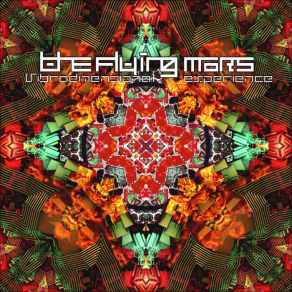 Download track Upbeat Meditation The Flying Mars