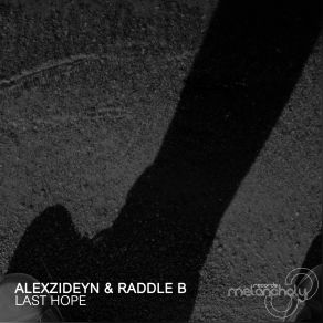 Download track Last Hope (Gary Leroy Remix) AlexZideyn, Raddle B