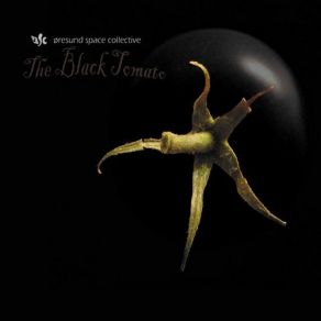 Download track The Black Tomato Part IIi' Oresund Space Collective