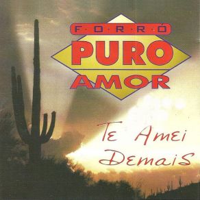 Download track Sonhei Forró Puro Amor