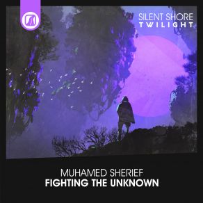 Download track Fighting The Unknown Muhamed Sherief