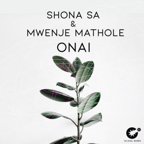 Download track Onai (Radio Edit) Mwenje Mathole