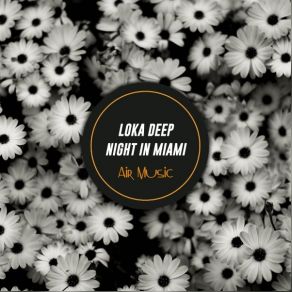 Download track Night In Miami Loka Deep