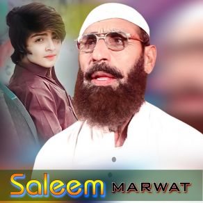 Download track Ba DIdana Mazdigar Da Saleem Marwat