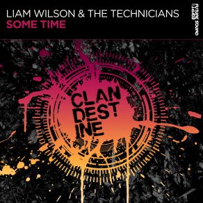 Download track Some Time (Extended Mix) Liam Wilson, The Technicians