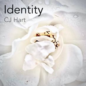 Download track Where We First Met (My Heart) CJ Hart