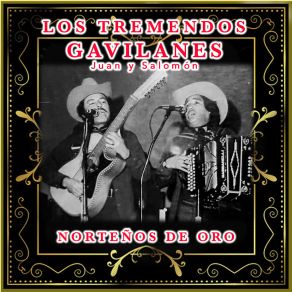 Download track La Chiva Colgada Los Tremendos Gavilanes Juan