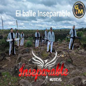 Download track Hay Nomas Pa Las Cocas Inseparable Musical