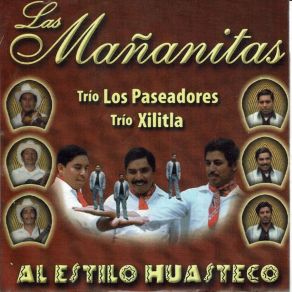 Download track Las Mananitas Huastecas Trio Los Paseadores