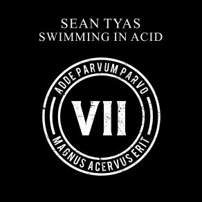 Download track Swimming In Acid (Symbolic Remix) Sean Tyas