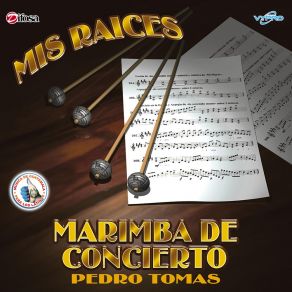 Download track Ferrocarril De Los Altos Marimba De Concierto Pedro Tomas