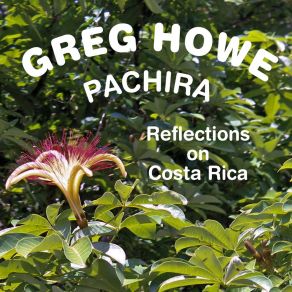 Download track Anhinga Greg Howe