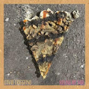 Download track The Good Book (Acoustic) David Triggiano