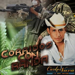 Download track Vida Mafiosa (En Vivo) Carlos Nava