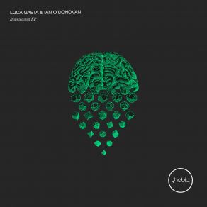 Download track Sabre Ian O'Donovan, Luca Gaeta