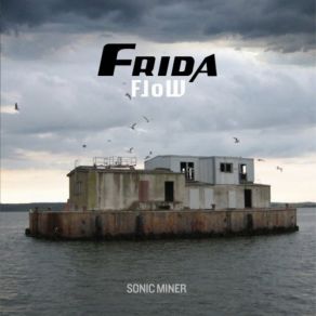 Download track Space For Frida Flow