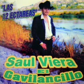 Download track El Gavilan Saul Viera 