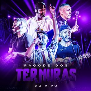 Download track Pagode Dos Ternuras - Bloco 2 Grupo Ternuras