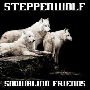 Download track Hot Night In A Cold Town Steppenwolf