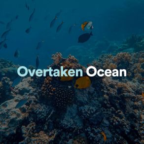 Download track Unmistakeable Ocean Relaxing Ocean Sounds