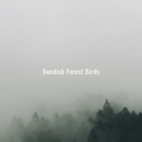 Download track Bird-Watching Swedish Forest Birds