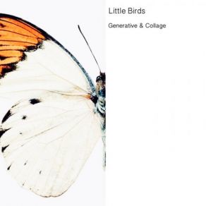 Download track Movement 5 Little Birds